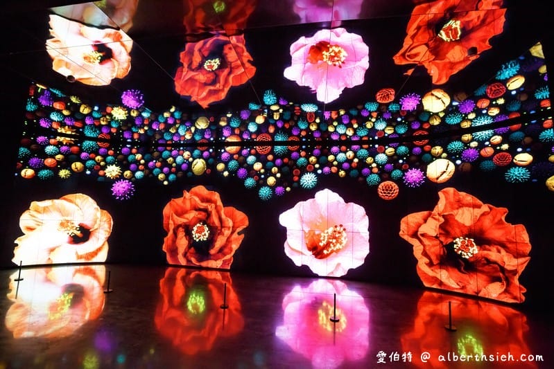 台中花博．后里森林園區發現館/友達微美館（瞭解大甲溪生態並利用556吋大螢幕超微觀世界）