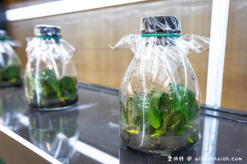 后里馬場．台中花博（花舞館看蘭花/故宮館看翠玉白菜/欣賞馬術表演）