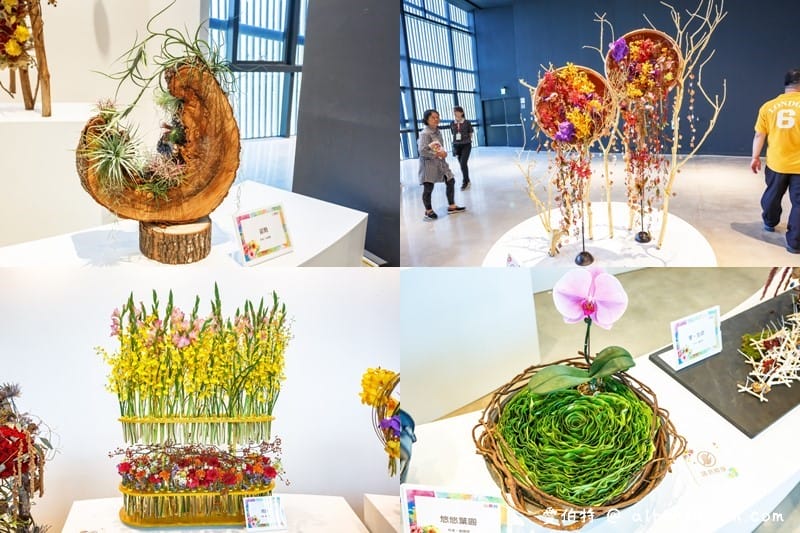 后里馬場．台中花博（花舞館看蘭花/故宮館看翠玉白菜/欣賞馬術表演）