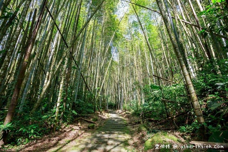 山海戀嘉義阿里山（3天2夜帶你發現更多奮起湖嘉義美食景點）