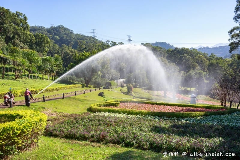 大溪花海農場．桃園親子景點（摩艾石像/賞花滑草/情侶約會/親子DIY）