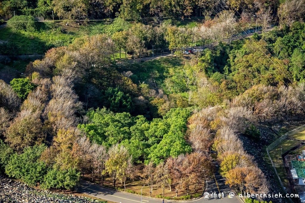 桃園石門水庫楓葉（北台灣低海拔最佳的賞楓景點，楓林步道種植千棵楓樹/槭樹超壯觀） @愛伯特