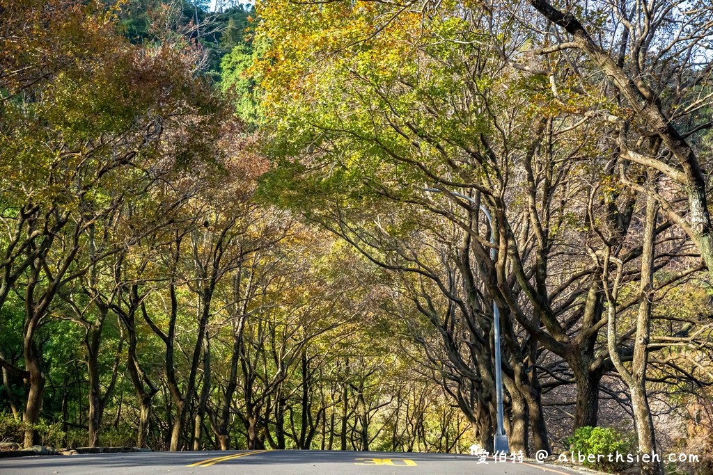 石門水庫一日遊推薦？（即時影像，入園停車收費，賞楓紅，梅花園，搭船遊湖懶人包） @愛伯特