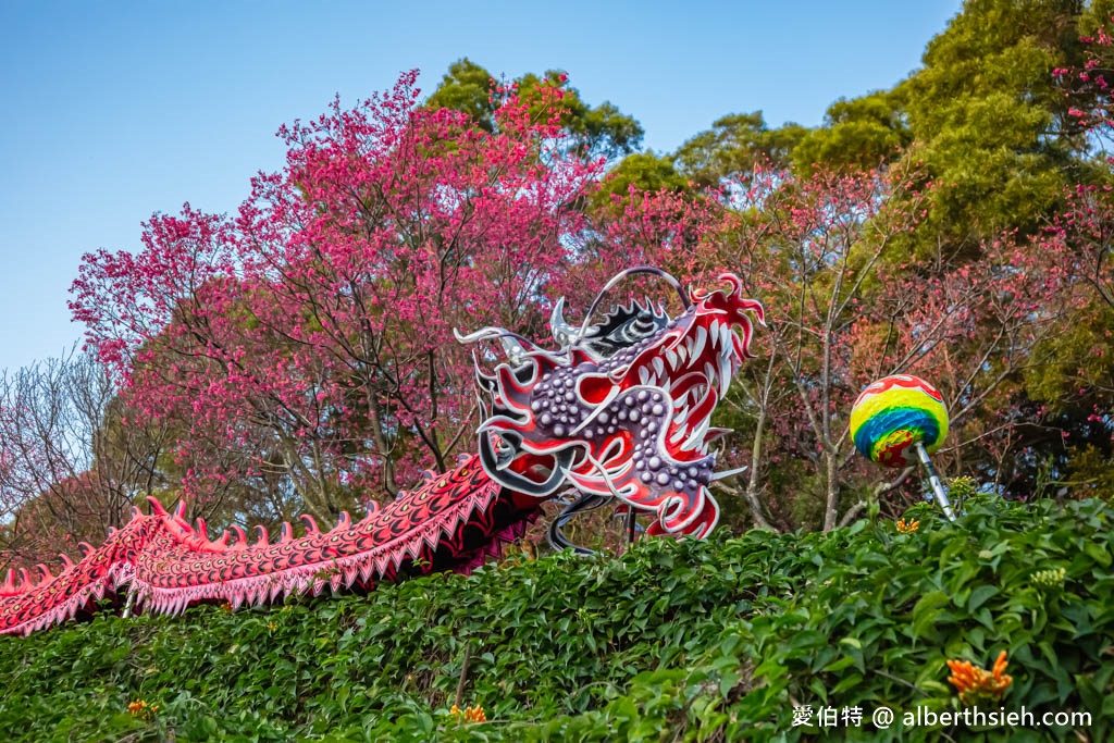 2024苗栗銅鑼炮仗花步道（銅鑼環保公園/櫻花隧道/季節限定雙層炮仗花海瀑布） @愛伯特