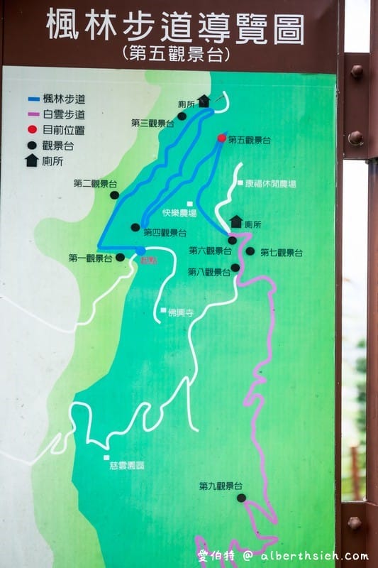 楓林步道．花蓮景點（居高臨下，眺望太平洋欣賞洄瀾夜景）