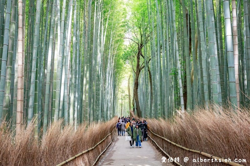 京都嵐山景點．嵯峨野嵐山竹林小徑（聆聽翠竹的嘎嘎沙沙聲響的美妙旋律）