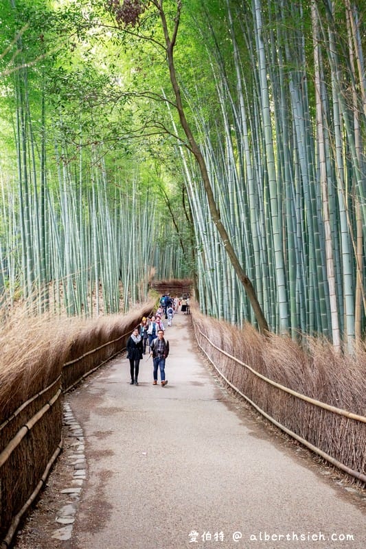 京都嵐山景點．嵯峨野嵐山竹林小徑（聆聽翠竹的嘎嘎沙沙聲響的美妙旋律）