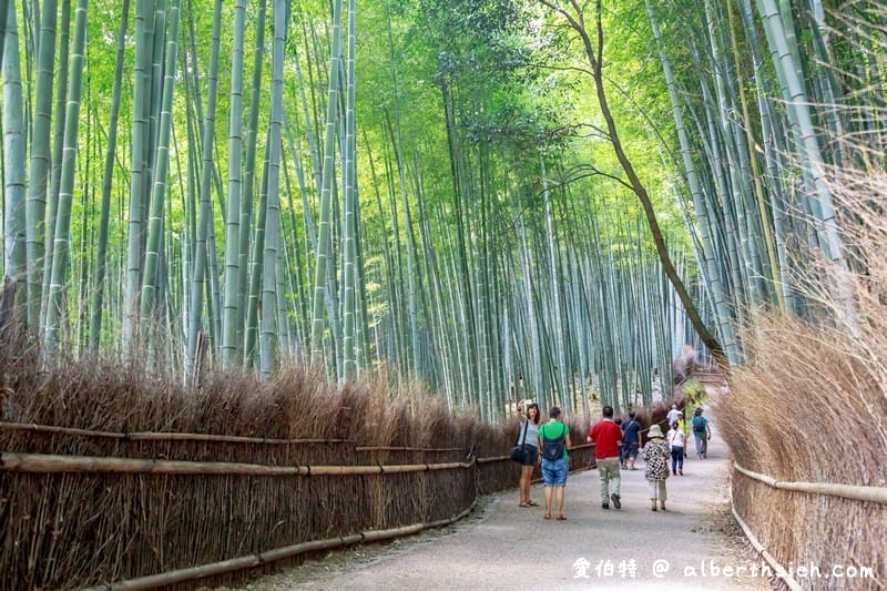京都嵐山景點．嵯峨野嵐山竹林小徑（聆聽翠竹的嘎嘎沙沙聲響的美妙旋律）
