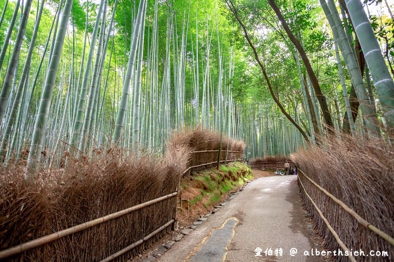京都嵐山景點．嵯峨野嵐山竹林小徑（聆聽翠竹的嘎嘎沙沙聲響的美妙旋律）
