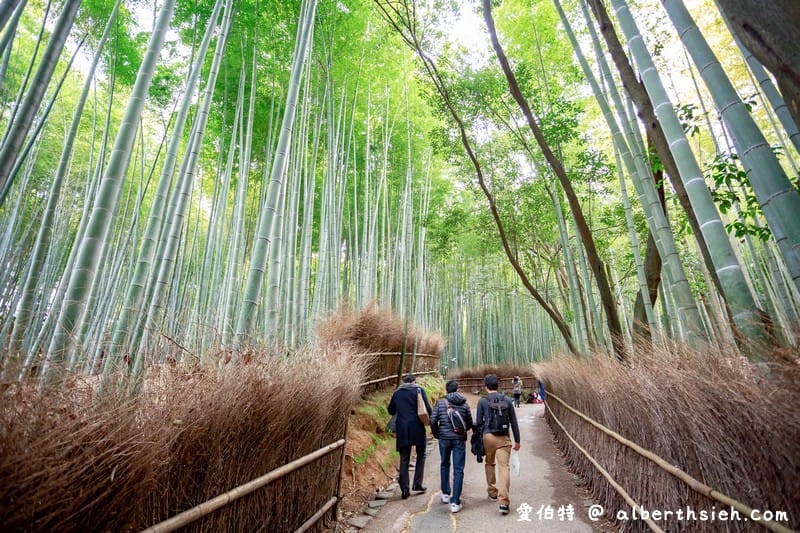 京都嵐山景點．嵯峨野嵐山竹林小徑（聆聽翠竹的嘎嘎沙沙聲響的美妙旋律）
