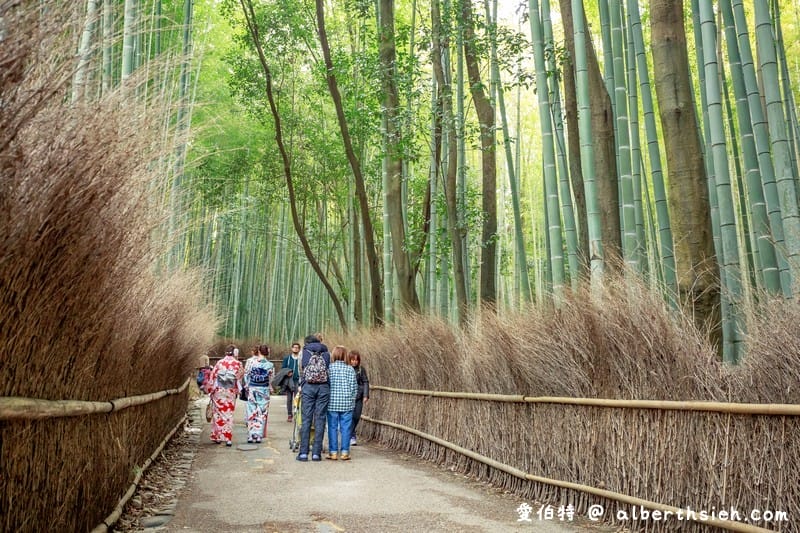 京都嵐山景點．嵯峨野嵐山竹林小徑（聆聽翠竹的嘎嘎沙沙聲響的美妙旋律）