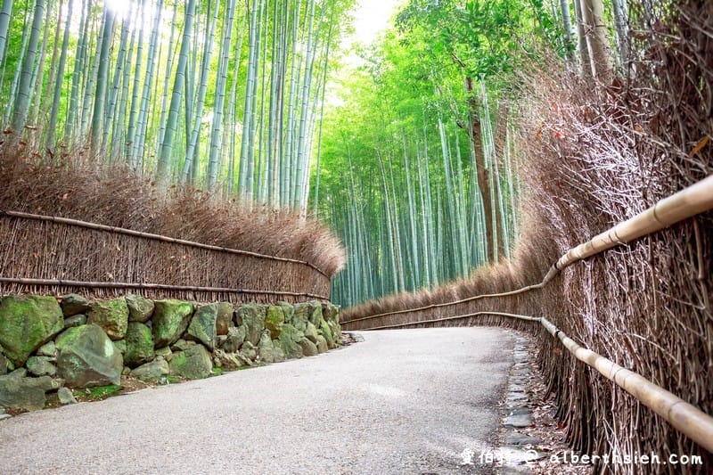 京都嵐山景點．嵯峨野嵐山竹林小徑（聆聽翠竹的嘎嘎沙沙聲響的美妙旋律）