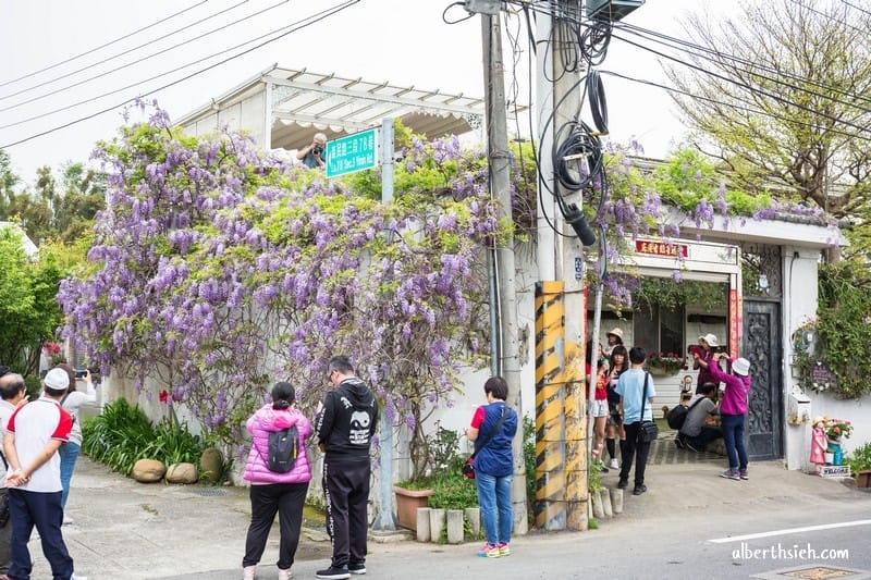 新埔紫藤居．新竹賞花景點（私人民宅大心免費讓大家欣賞紫色瀑布）