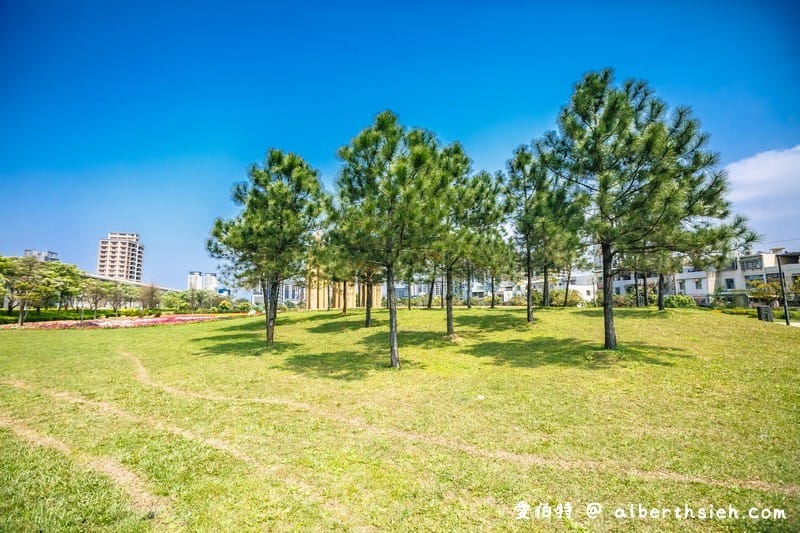 青埔公十三公園．桃園中壢景點（渴望、湧泉大型藝術品搭配花海超美）