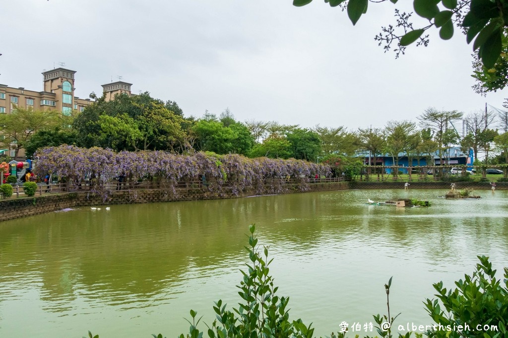 大湖紀念公園．桃園龜山景點（紫藤流蘇盛開美景美不勝收） @愛伯特