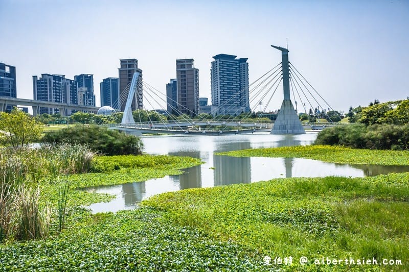 中壢青塘園生態公園（斜張橋送子鳥環湖步道大草皮適合親子野餐，桃園捷運景點）