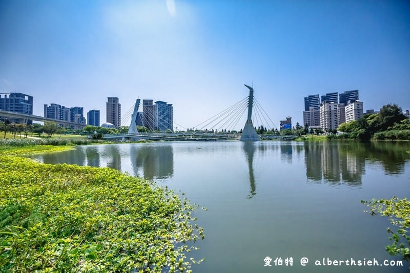 中壢青塘園生態公園（斜張橋送子鳥環湖步道大草皮適合親子野餐，桃園捷運景點）