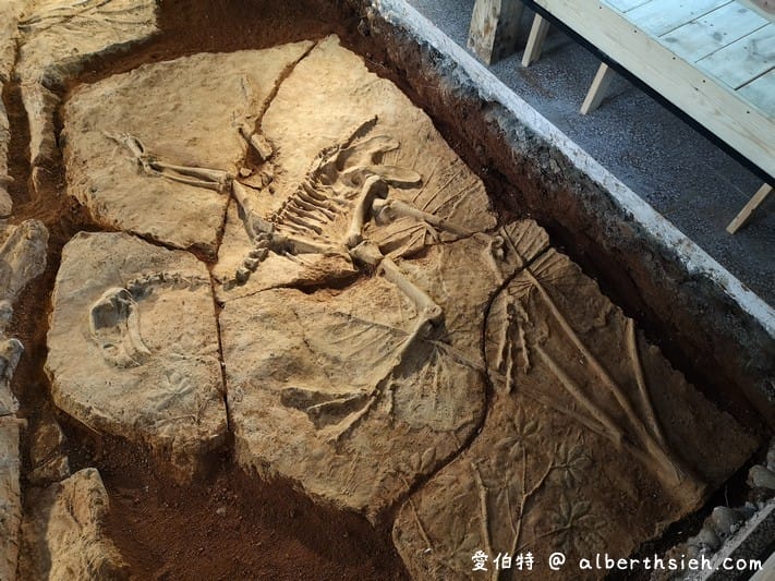 2019桃園地景藝術節（八德三大展區，新風景線的想像與創建作為主題，共33件藝術作品）
