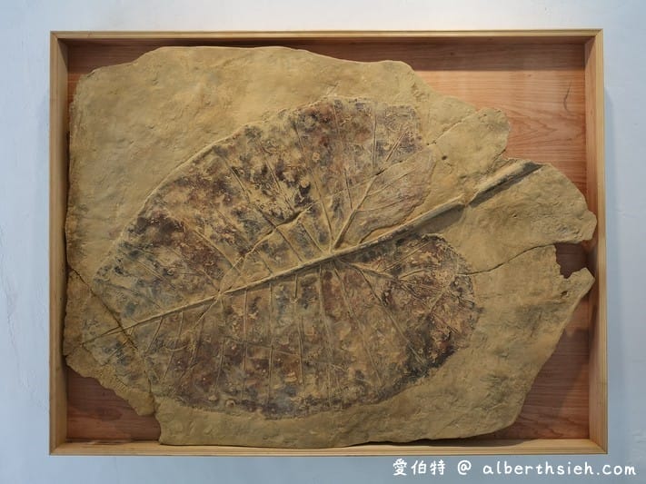 2019桃園地景藝術節（八德三大展區，新風景線的想像與創建作為主題，共33件藝術作品）