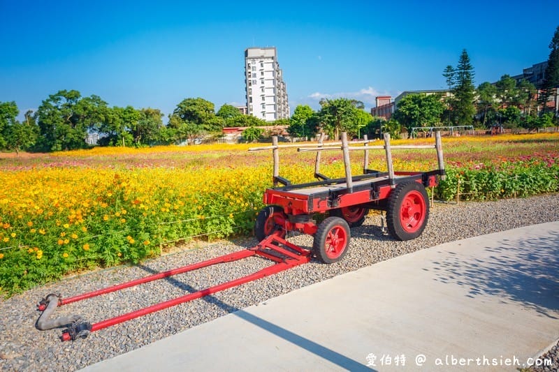 桃園霄裡花海共融式遊戲場（超大片波斯菊、青葙以及百日草花海等你來欣賞）
