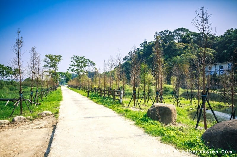 大溪月眉人工濕地生態公園（園區自然生態豐富還可以淨化水質）
