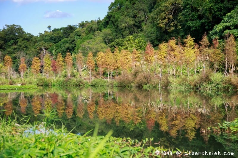 大溪月眉人工濕地生態公園（園區自然生態豐富還可以淨化水質）