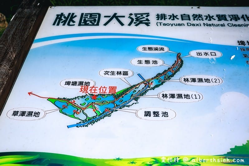 大溪月眉人工濕地生態公園（園區自然生態豐富還可以淨化水質）