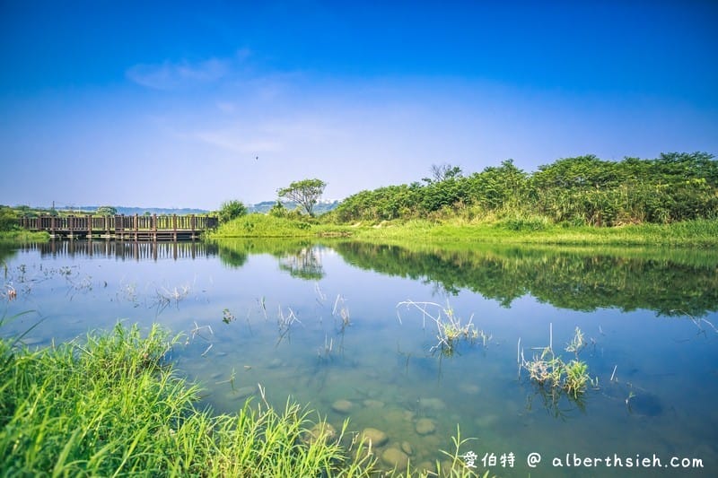 大溪月眉人工濕地生態公園（園區自然生態豐富還可以淨化水質）