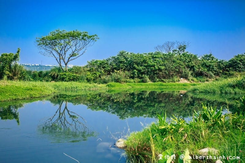 大溪月眉人工濕地生態公園（園區自然生態豐富還可以淨化水質）