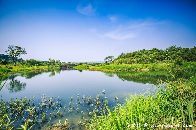 大溪月眉人工濕地生態公園（園區自然生態豐富還可以淨化水質）
