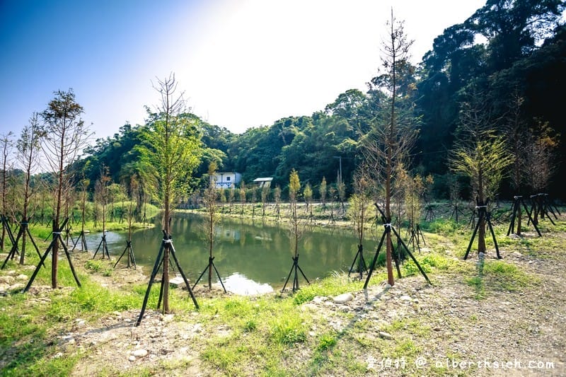 大溪月眉人工濕地生態公園（園區自然生態豐富還可以淨化水質）