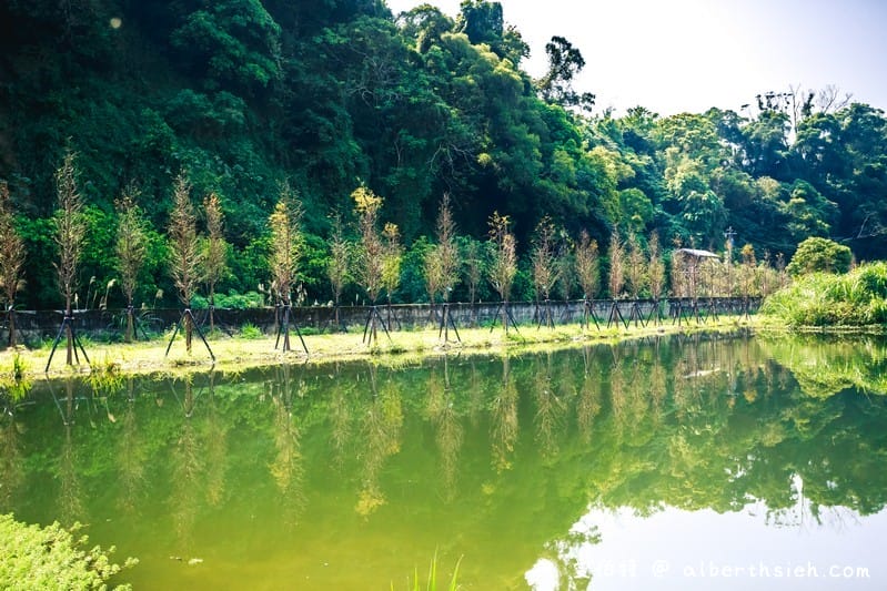 大溪月眉人工濕地生態公園（園區自然生態豐富還可以淨化水質）