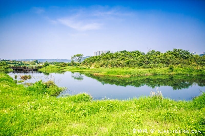 大溪月眉人工濕地生態公園（園區自然生態豐富還可以淨化水質）