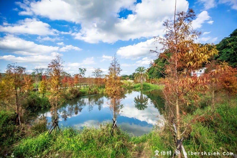 大溪月眉人工濕地生態公園（園區自然生態豐富還可以淨化水質）