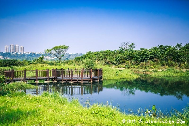 大溪月眉人工濕地生態公園（園區自然生態豐富還可以淨化水質）