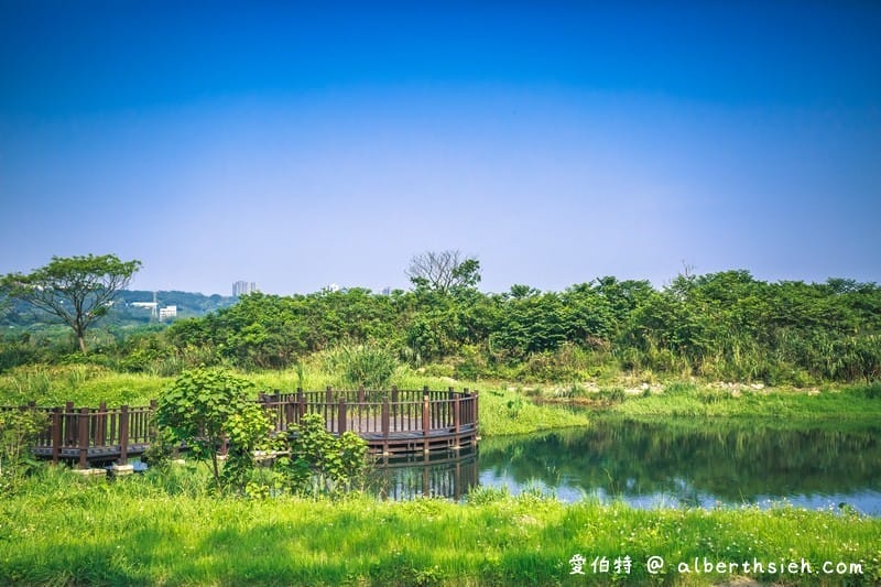 大溪月眉人工濕地生態公園（園區自然生態豐富還可以淨化水質）
