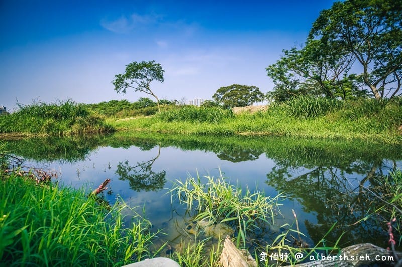 大溪月眉人工濕地生態公園（園區自然生態豐富還可以淨化水質）