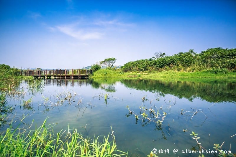 大溪月眉人工濕地生態公園（園區自然生態豐富還可以淨化水質）