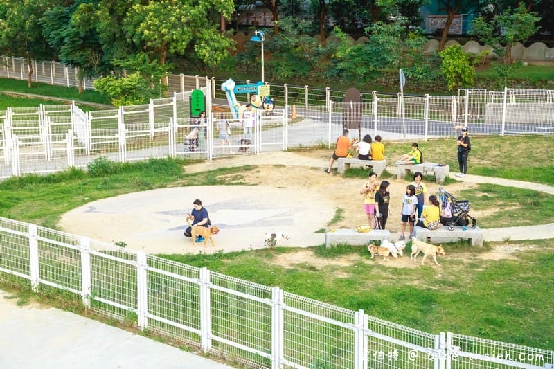 桃園蘆竹景點．南崁大橋（全台首座不對稱交叉雙拱橋/不對稱雙斜張橋）