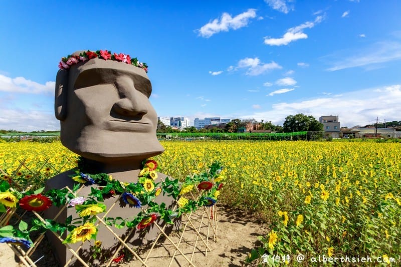 2019桃園花彩節（大溪、中壢、平鎮美麗綻放等你來拍照打卡）