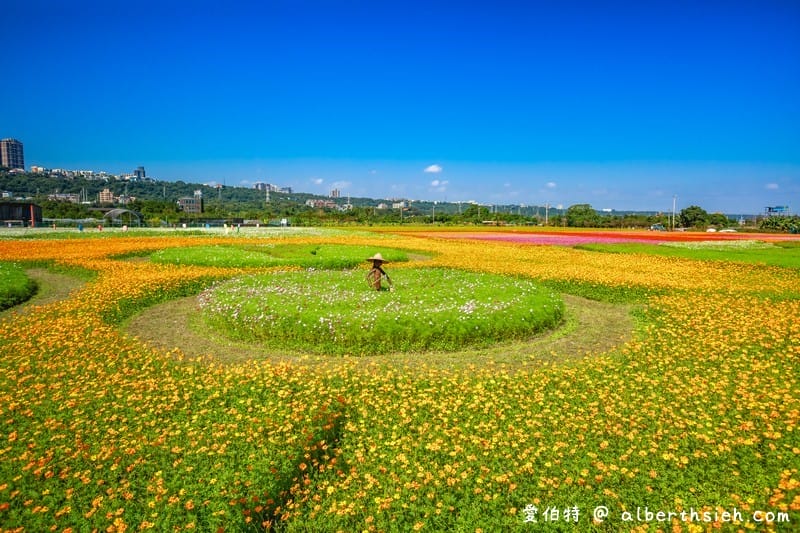 2019桃園花彩節大溪展區（漸層繽紛花田，聖誕樹，茶壺圖騰超美等你來拍照打卡）