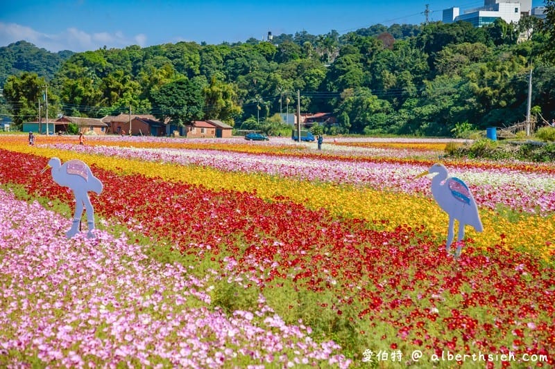 2019桃園花彩節大溪展區（漸層繽紛花田，聖誕樹，茶壺圖騰超美等你來拍照打卡）