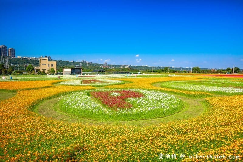 2019桃園花彩節大溪展區（漸層繽紛花田，聖誕樹，茶壺圖騰超美等你來拍照打卡）