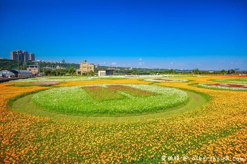 2019桃園花彩節大溪展區（漸層繽紛花田，聖誕樹，茶壺圖騰超美等你來拍照打卡）