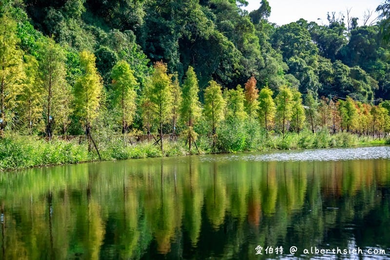 2019桃園花彩節大溪展區（漸層繽紛花田，聖誕樹，茶壺圖騰超美等你來拍照打卡）