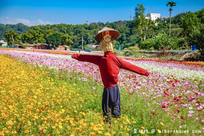 2019桃園花彩節大溪展區（漸層繽紛花田，聖誕樹，茶壺圖騰超美等你來拍照打卡）