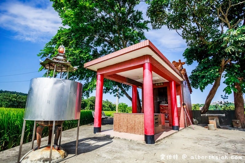 大溪順時埔（寧靜純樸的農村社區有著鮮綠欲滴的稻田美麗景緻）