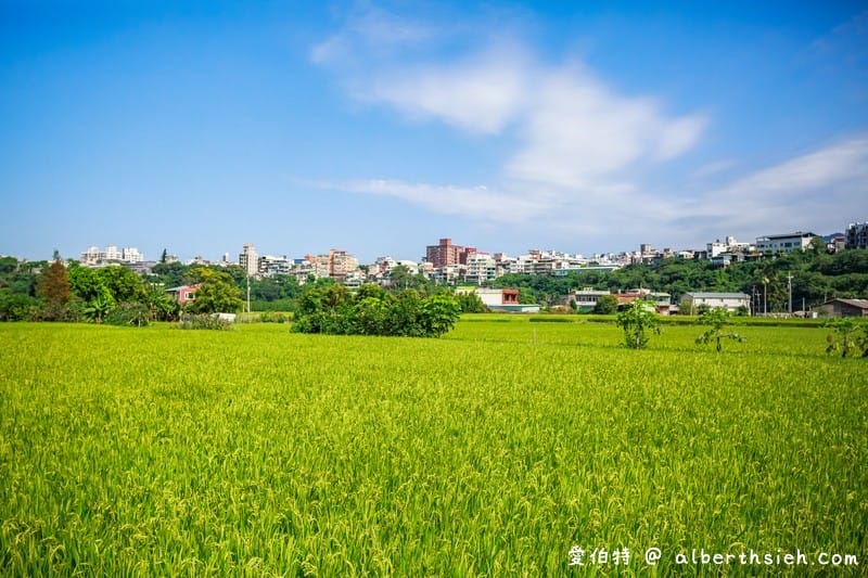 大溪順時埔（寧靜純樸的農村社區有著鮮綠欲滴的稻田美麗景緻）