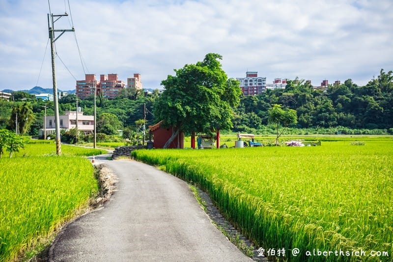 大溪順時埔（寧靜純樸的農村社區有著鮮綠欲滴的稻田美麗景緻）