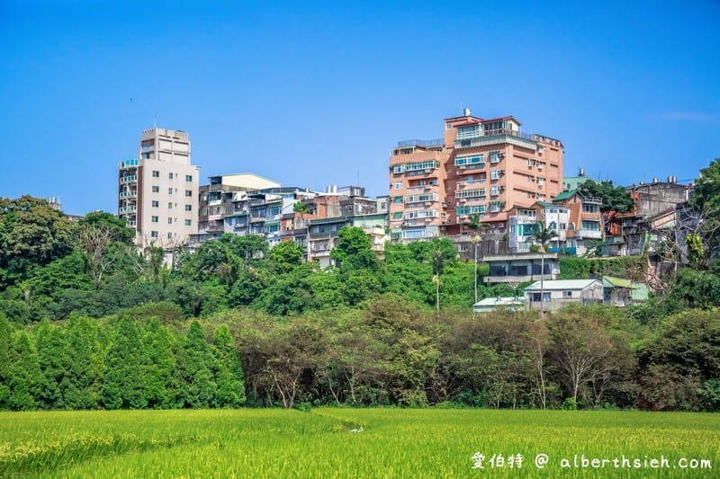 大溪順時埔（寧靜純樸的農村社區有著鮮綠欲滴的稻田美麗景緻）
